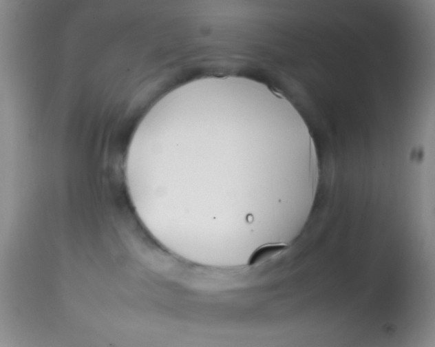 X0000113870045200910151312