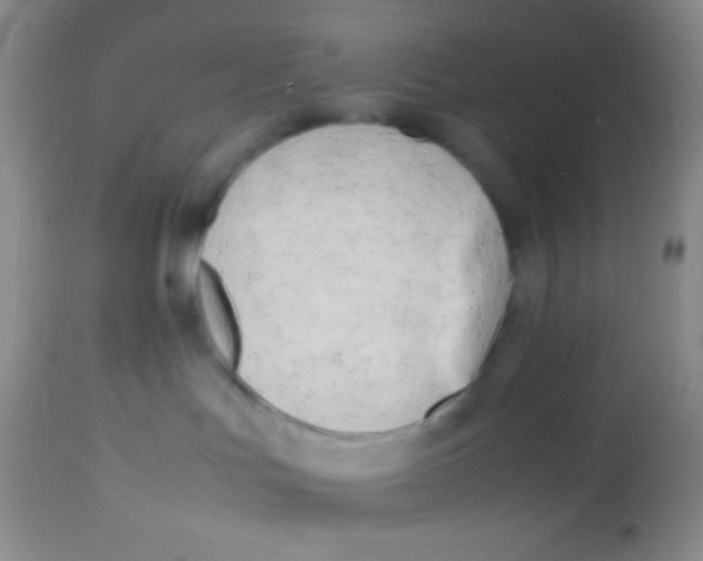 X0000113870047200910151312