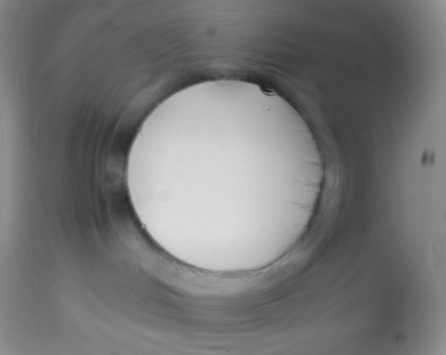 X0000113870048200910151312