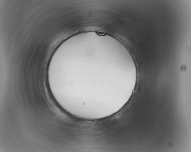 X0000113870049200910151311