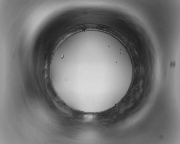 X0000113870050200910151311