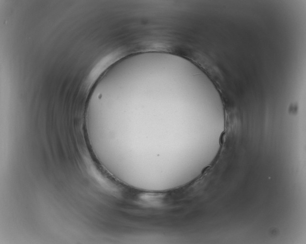 X0000113870051200910151311