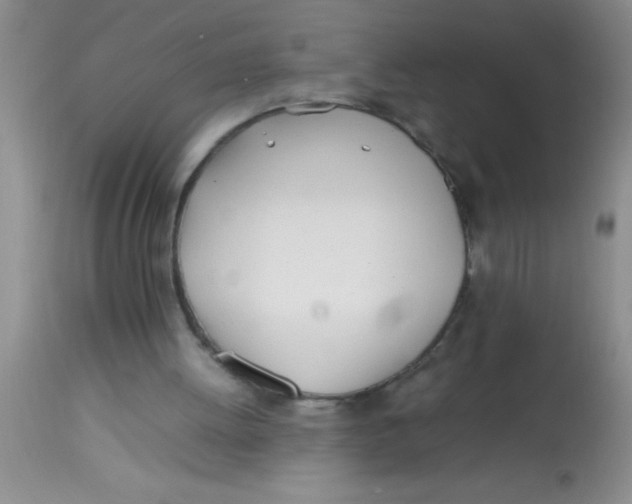 X0000113870052200910151311