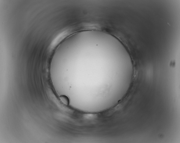 X0000113870053200910151311