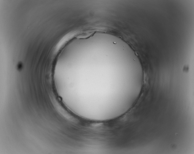 X0000113870054200910151311