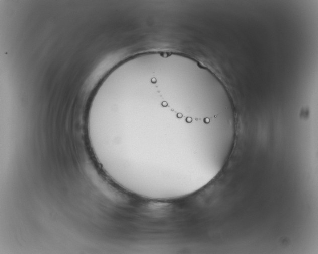 X0000113870055200910151311