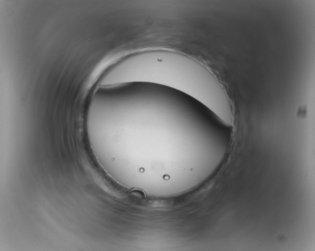 X0000113870056200910151311