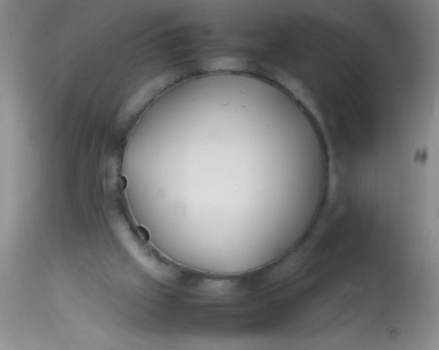 X0000113870057200910151311