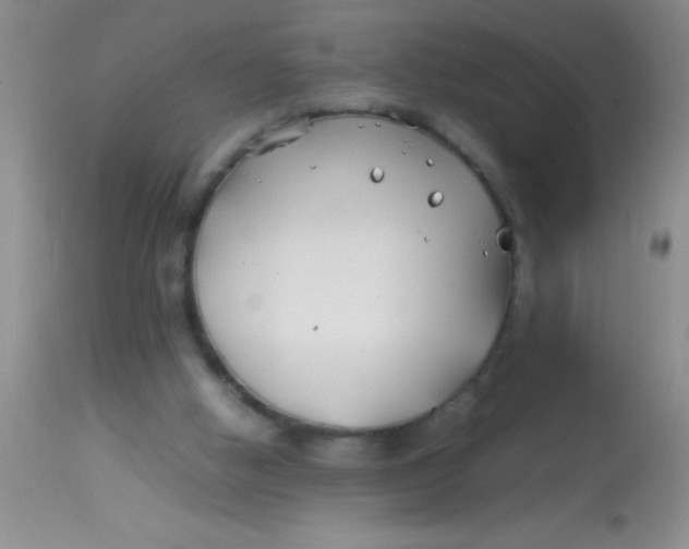 X0000113870058200910151311