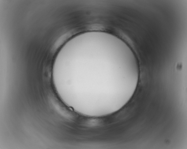 X0000113870059200910151311