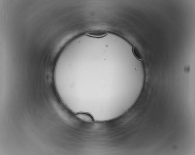 X0000113870060200910151311