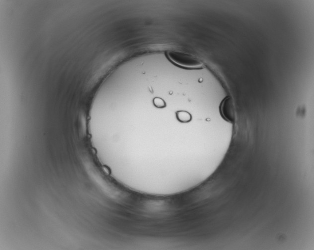 X0000113870061200910151311