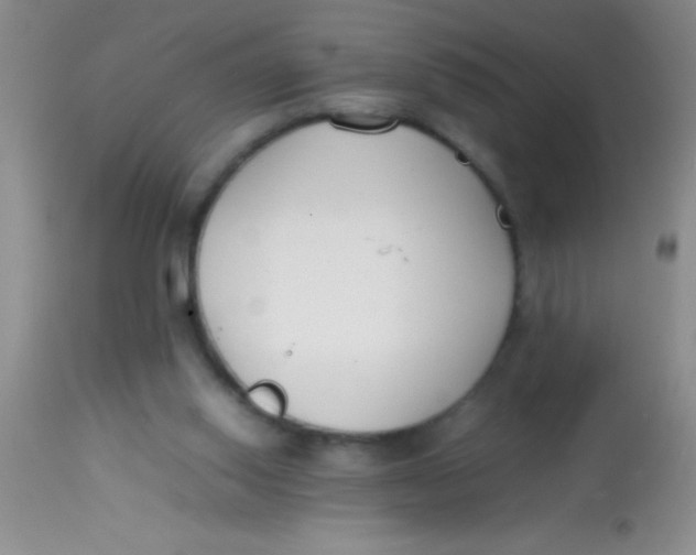 X0000113870062200910151311