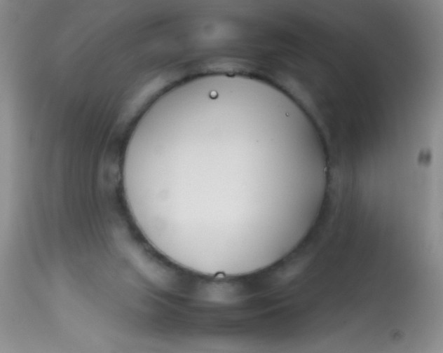 X0000113870063200910151311