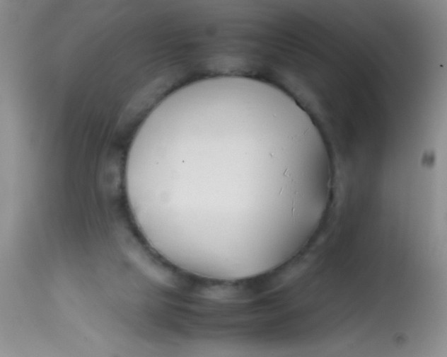 X0000113870065200910151311