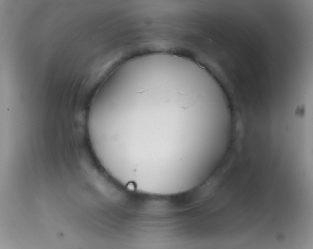 X0000113870066200910151311