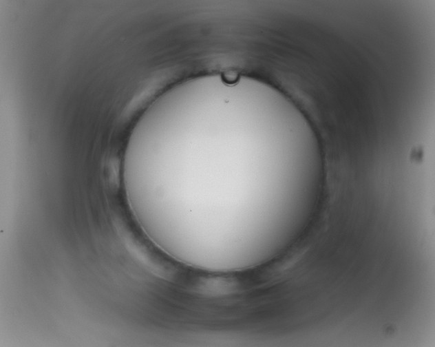 X0000113870067200910151311