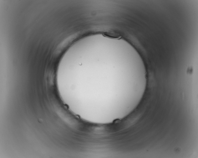 X0000113870068200910151311