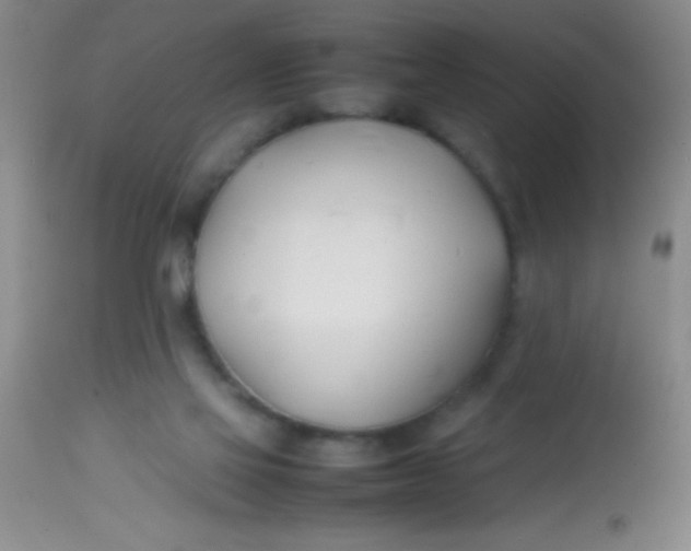 X0000113870069200910151311