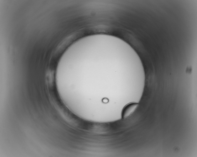 X0000113870070200910151312