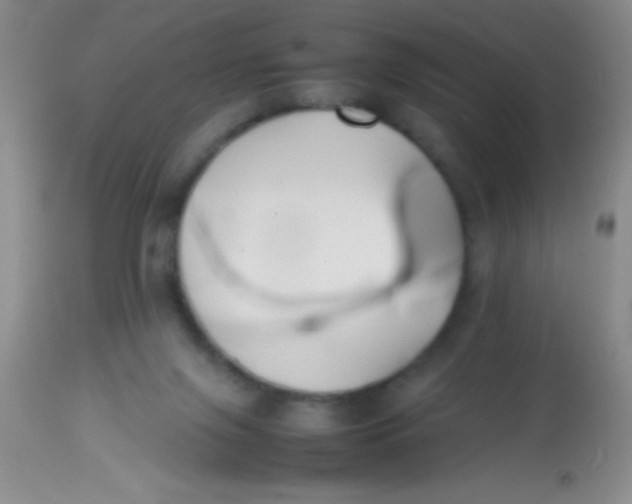 X0000113870071200910151312