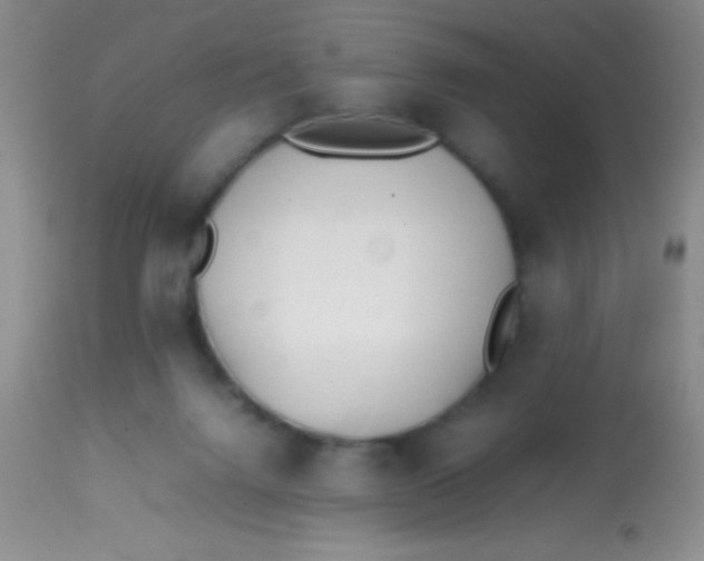 X0000113870072200910151312