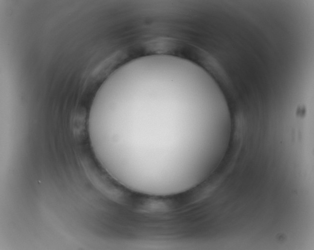 X0000113870073200910151312