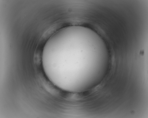 X0000113870074200910151312