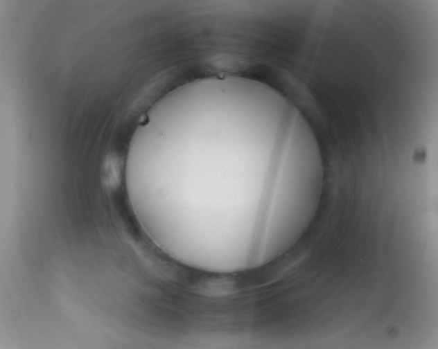 X0000113870075200910151312