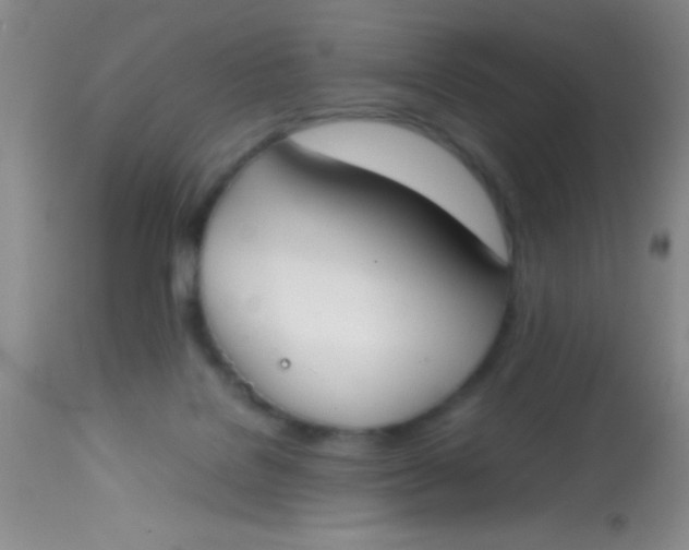 X0000113870076200910151312