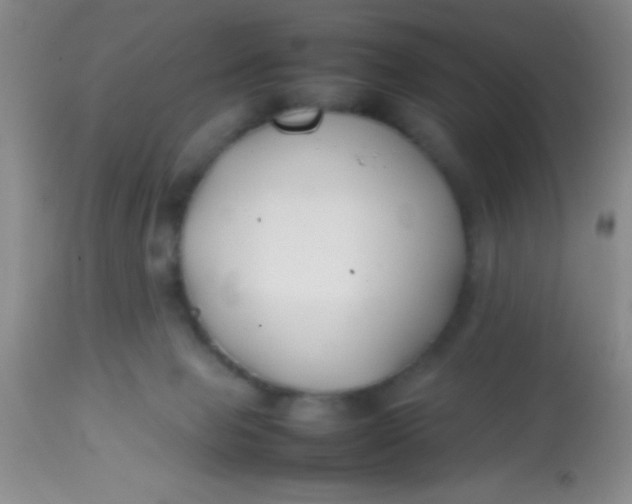 X0000113870077200910151312