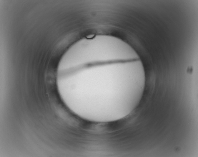 X0000113870078200910151312