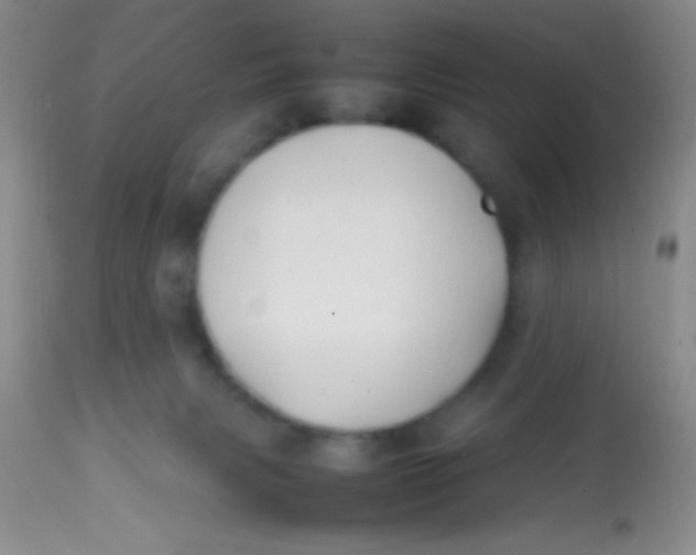 X0000113870079200910151312