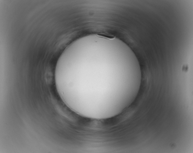 X0000113870080200910151312