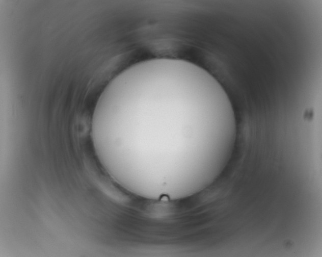 X0000113870081200910151312