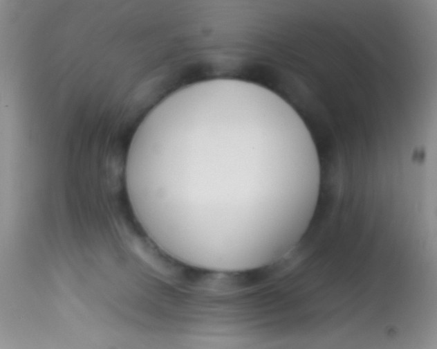 X0000113870082200910151312