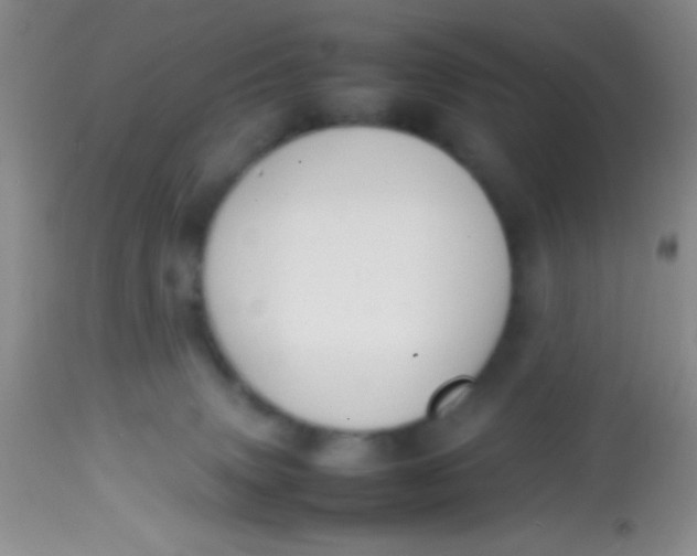 X0000113870083200910151312