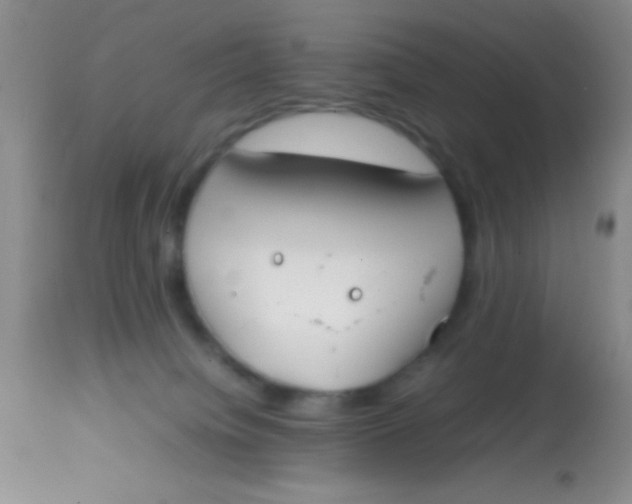 X0000113870084200910151312