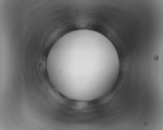 X0000113870085200910151312