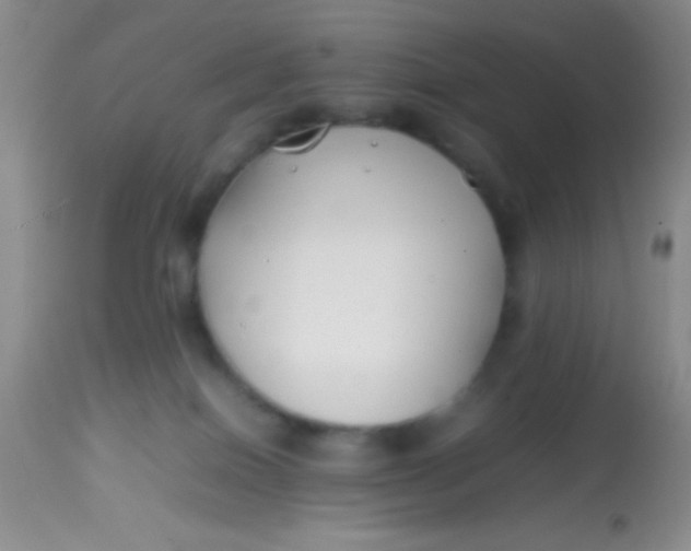 X0000113870086200910151312