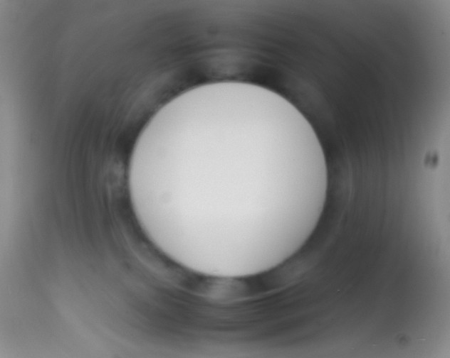 X0000113870087200910151312