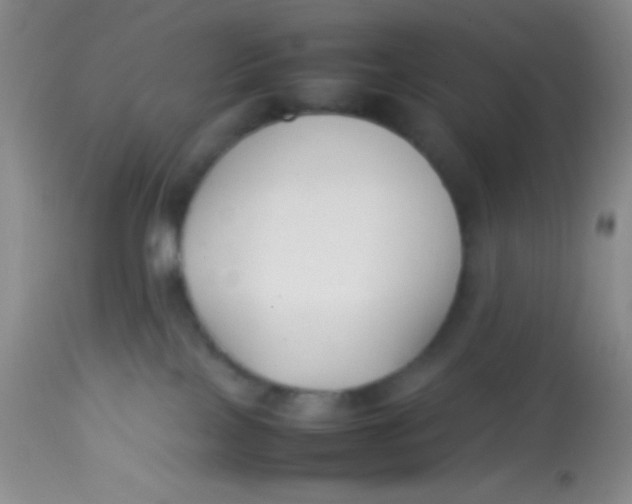 X0000113870089200910151312