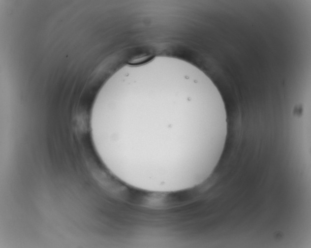 X0000113870090200910151312