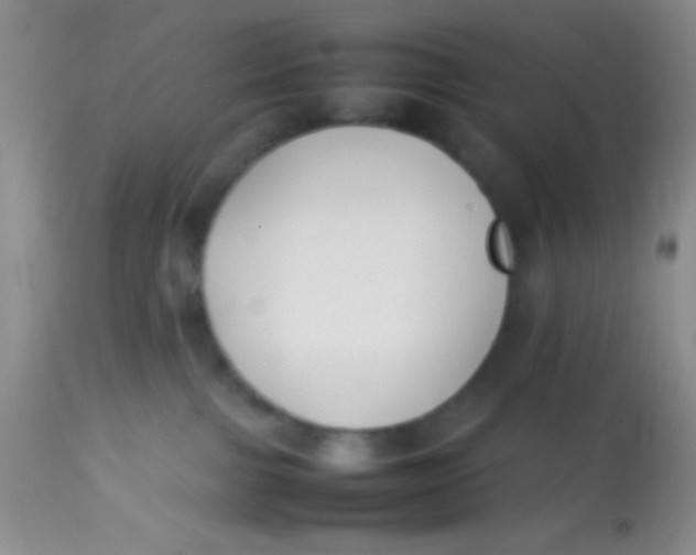 X0000113870091200910151312