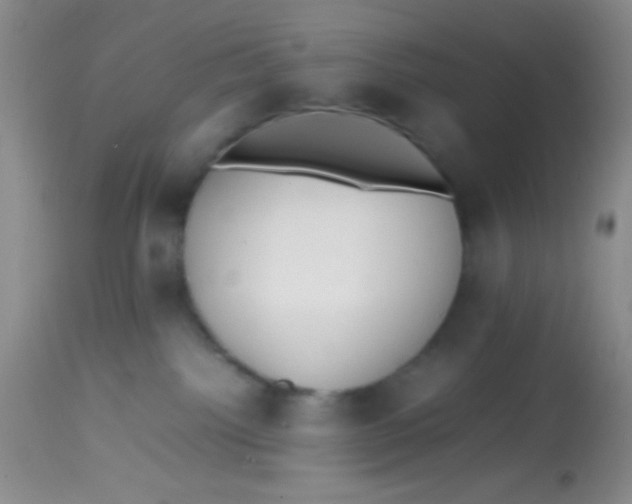 X0000113870092200910151312