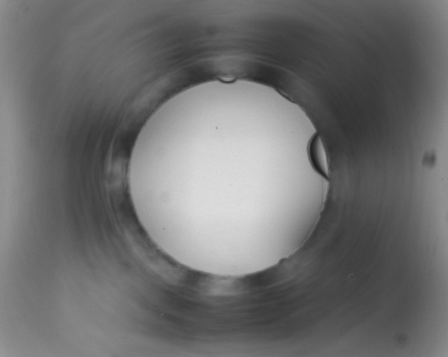 X0000113870093200910151312