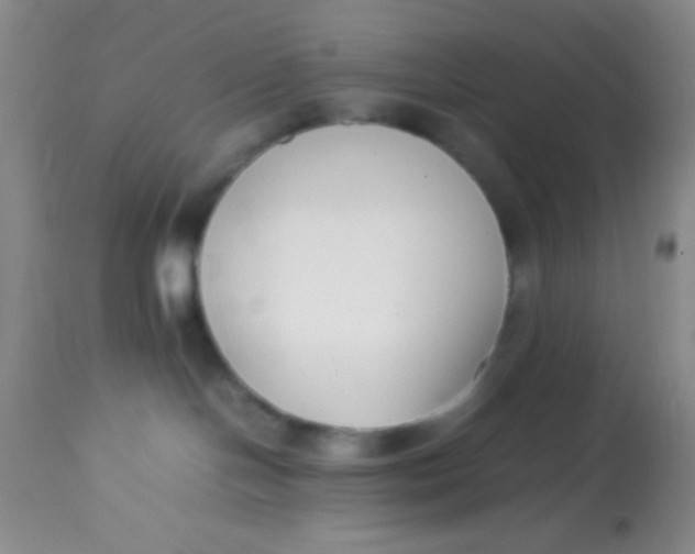 X0000113870094200910151312