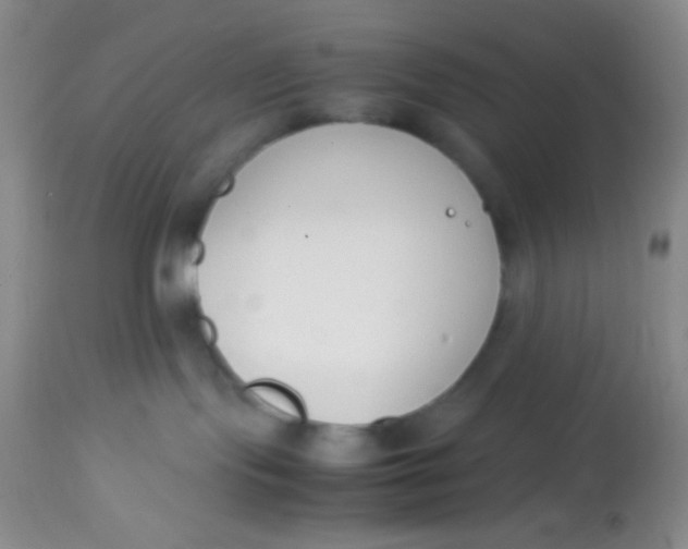 X0000113870095200910151312