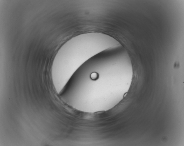 X0000113870096200910151312