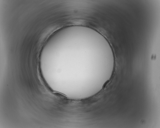 X0000113870097200910151311